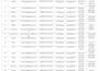 provide excel, word and PDF services
